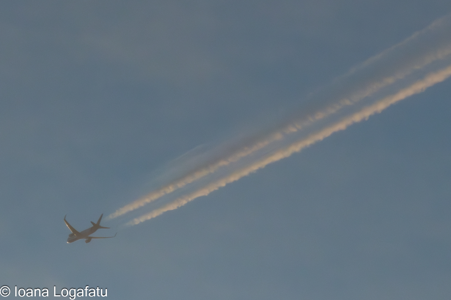 Airplane glides through a pastel sky at dusk